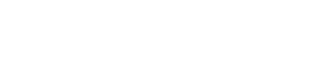 straumann logo 4.png